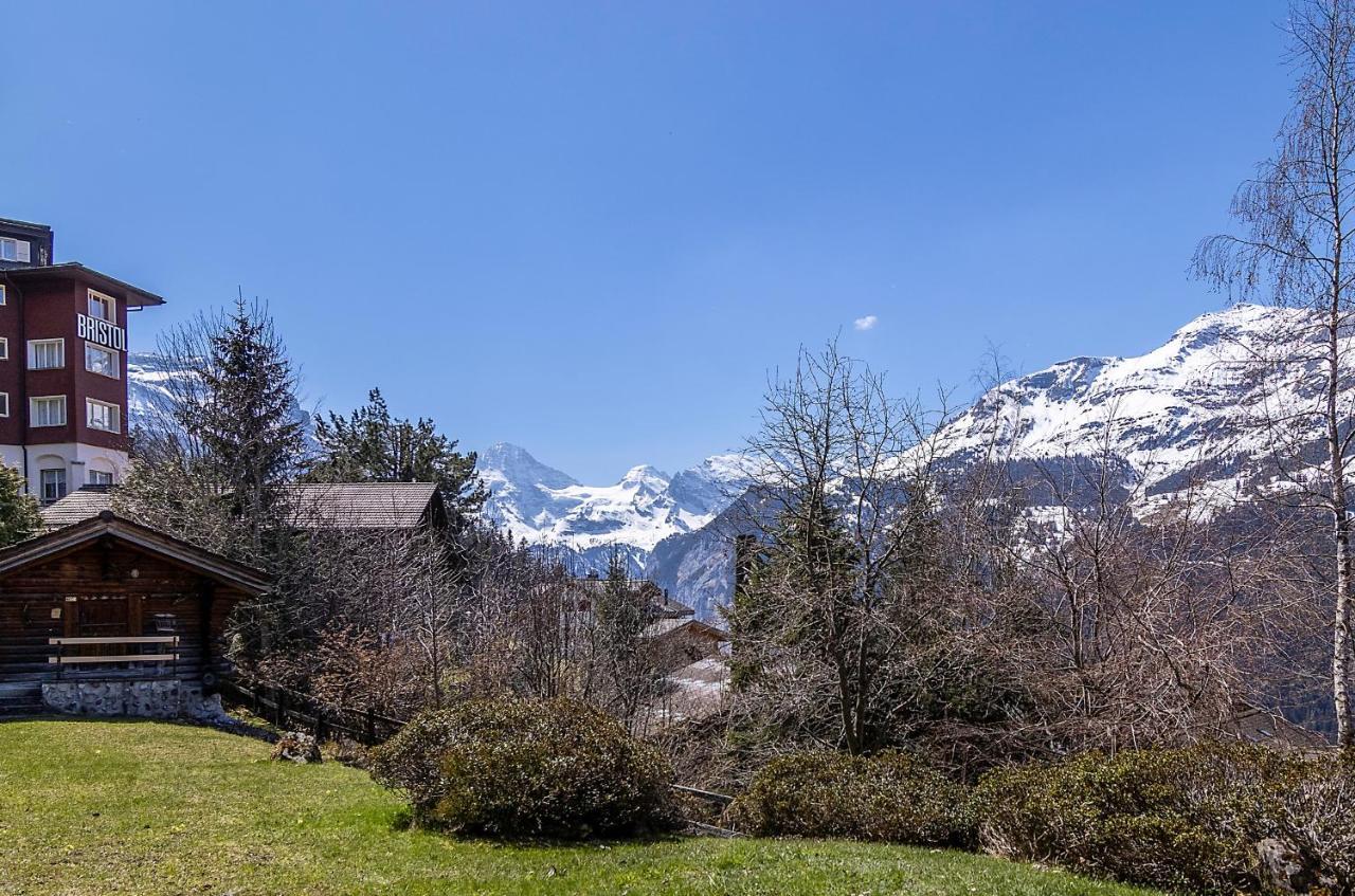 Chalet Steingaertli 1 Wengen Bagian luar foto